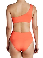 Corallium Zuri Twisted One-Piece Swimsuit