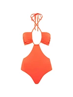 Corallium Alex Cut-Out One-Piece Swimsuit