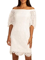 Sweet Lace Shift Dress