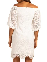 Sweet Lace Shift Dress