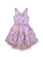 Little Girl's & Floral Appliqué Tulle Dress