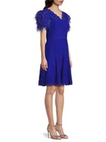 Feathers Lace Minidress