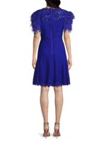 Feathers Lace Minidress