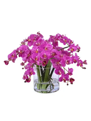 Faux Orchid Phalaenopsis Floral Arrangement