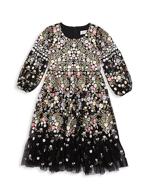 Little Girl's & Floral Embroidered Dress