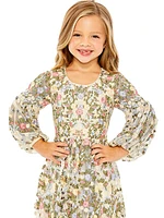 Little Girl's & Girl's Floral Embroidered Dress