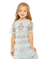 Little Girl's & Floral Embroidery Ruffle Trim Dress