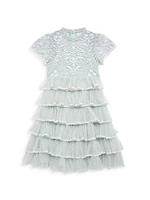 Little Girl's & High-Neck Embroidered Mini Dress