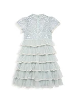 Little Girl's & High-Neck Embroidered Mini Dress