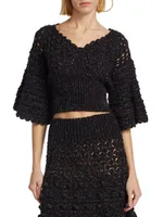 Femininity Crochet Crop Sweater