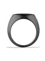 Exotic Stone Signet Ring Black Titanium