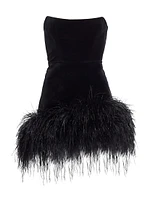 Fiora Feather-Embellished Velvet Minidress