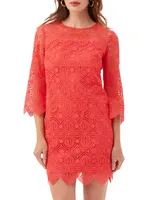 Atlantic Lace Minidress