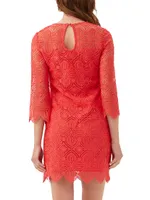 Atlantic Lace Minidress