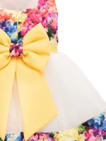 Baby Girl's, Little Girl's Chiquita Dress