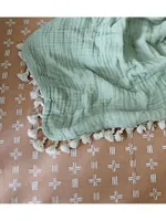 Baby's Tassel-Accented Blanket