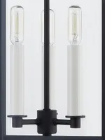 Braydan 3-Light Exterior Wall Sconce