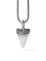 Shark Tooth Amulet