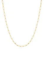 Colette Mini 14K Yellow Gold Chain Necklace