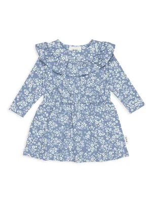 Baby Girl's ,Little & Floral Frill Dress