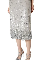 Tulle Illusione Embroidered Skirt