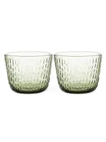 Syksy 2-Piece Glass Tumbler Set