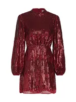 Samantha Sequined Minidress