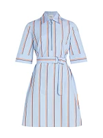 Striped Cotton Belted Shirtdress