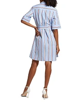 Striped Cotton Belted Shirtdress