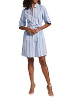 Striped Cotton Belted Shirtdress