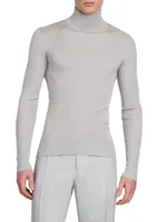 Silk Ribbed Turtleneck