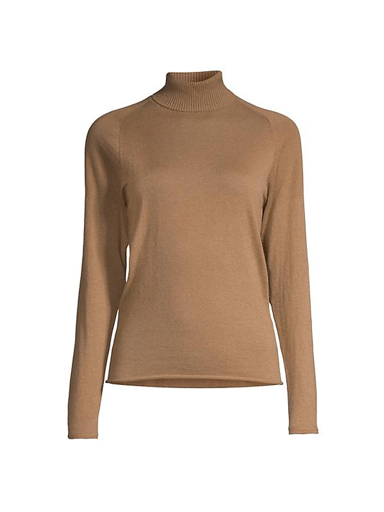 Fitted Turtleneck Sweater