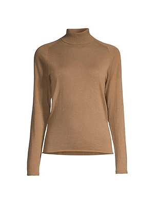 Fitted Turtleneck Sweater