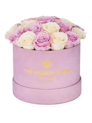 Classic Roses In Suede Dome Box