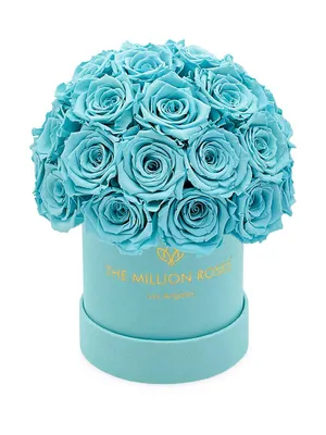 Basic Mint Blue Roses In Suede Superdome Box