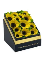 Square Black Box of Sunflowers