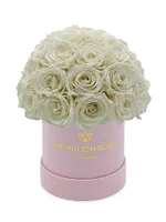 Basic Roses In Light Pink Suede Superdome Box
