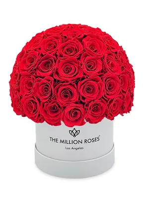 Classic Red Roses Superdome Box