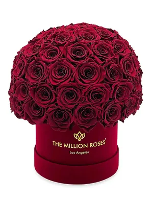 Classic Bordeaux Roses In Suede Superdome Box