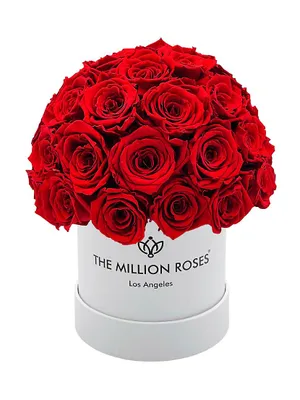 Basic Red Roses In Superdome Box