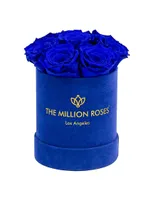 Basic Royal Blue Roses in Suede Box
