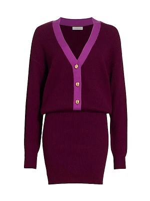 Andrea V-Neck Mini Sweater Dress