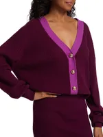 Andrea V-Neck Mini Sweater Dress