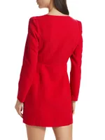 Phillipa Long-Sleeve Minidress