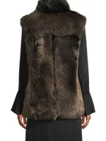 Brisa Shearling Vest