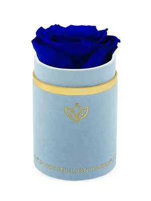 Single Rose In Light Blue Suede Box