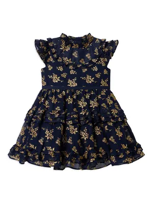 Baby Girl's, Little Girl's & Ruffle Glitter Dress