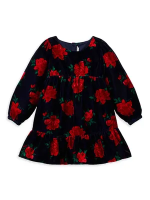 Baby Girl's, Little Girl's & Velvet Rose Dress