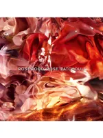 Rosa Palissandro Forte Eau de Parfum