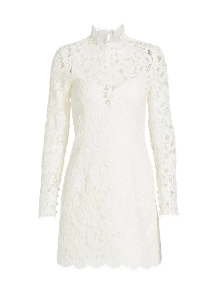 Long-Sleeve Embroidered Lace Minidress